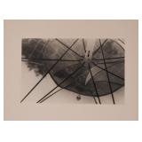 Black & White Photography / Photos