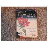 Books (Vintage & Newer)