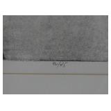 Framed Original Limited Edition Artwork "A Picnic on the Lake", Signed S. Marchetti (1992)