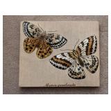 Fabric Artwork - Butterflies