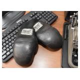 Child Size Boxing Gloves
