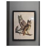 Vintage Print - Owls