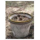 Flower Pots & Planters