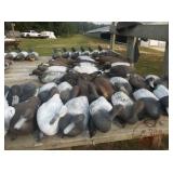 Annual Decoy & Outdoorsman Auction