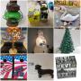 11/4/24 - Combined Estate & Consignment Auction