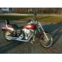Harley Davidson Motorcycle