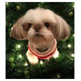 Sweet Fergie Not For Sale