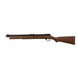Crosman Air Rifle