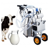 #9124 Outdoor/Sporting Goods, Industrial Equipment, Home Decor