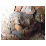 6 CYLINDER VINTAGE MUSTANG MOTOR