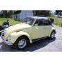 VW Beetle, Harley, Guns, Knives & Some Really Cool Items!!