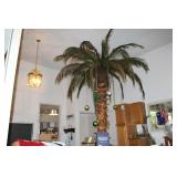 Who Needs a Palm Tree 