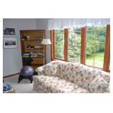 Bookshelves and sofas