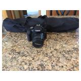 Canon Rebel T1i and Dynex Tripod 