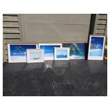 Tropical Picture Lot