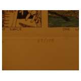 BR12 Bigelow Cat Print 15 x 11 framed