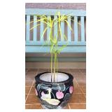 JYR039 Oriental Planter, Guppies, Papyrus Water Plant