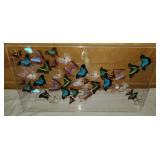 PCC112 Beautiful Butterfly Framed Art 1 of 2