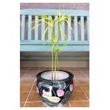 JYR032 Beautiful Ceramic Planter Pond, Plant, Live Fish