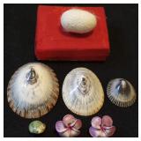 NPT087 Silkworm Cocoon, Vintage Polished Opihi Shells & More