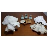 FKT038 Rare Real Giant Clam Sea Shells & More