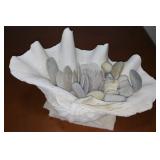 FKT069 Real Sea Shells - Giant Clam, Sand Dollars, Sandstones