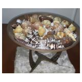 FKT070 Copper Plate with Real Sea Shells Cowry, Cones & More