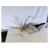 JYR033 Rare Vintage Large Black Coral Branch