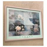 APM055 - The Lotus and Goldfishes