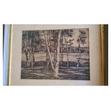 APM132 - The Edge of the Birches