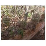 WWS051 - Plants - Cacti, Air Plants & More