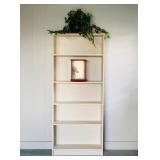 PSM006 - Five-Tier Wood Shelf Unit & More