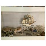 Wle030 - Unique Hawaiian Sea Life Lot