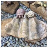 WLE070 - Large Clam Shell and Friends