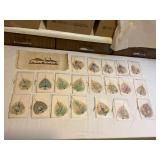 Awp399 Papyrus Picture & Twenty Dried Leaves Painting Cards