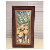 Mms045 Framed Picture Of Coconuts By Gupton 