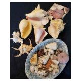 KKE057 - SEASIDE COLLECTIONS 