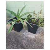 KKE175 - PAIR OF PLANTERS 
