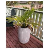 KKE182 Large Ceramic Planter & Manila Palm