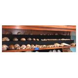 KKE184-Plethora Of Seashells-Display Shelf # 1