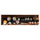 KKE185-Plethora of Seashells- Display Shelf #2