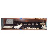 KKE187-Plethora Of Seashells-Display Shelf #4