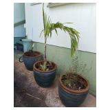 KKE209 - TRIO OF CERAMIC PLANTERS 