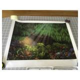 WRS163 Fern Grotto By Anthony Casay Limited Edition Lithograph