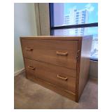 POP005 - TWO DRAWER FILE CABINET 