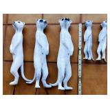 AFC094 - Meerkat Family