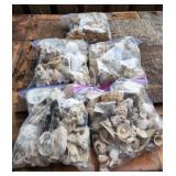 KCT060 - Mystery Lot Sea Treasures #2