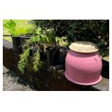 VME289- Pots and Plants