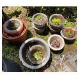 VME293- Mystery Lot Of Pots, Cement, Clay, Plastic & Plants