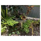 VME328 Orchid Plants & Pots